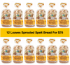 12 Loaves Sprouted Spelt Bread
